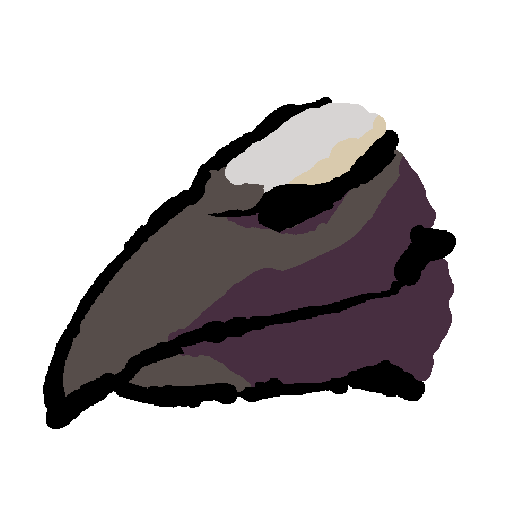 a short black rock pigeon beak. the area above the nostrils is white